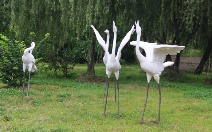 ������ô�@ô�ÿ�������䓵����f��